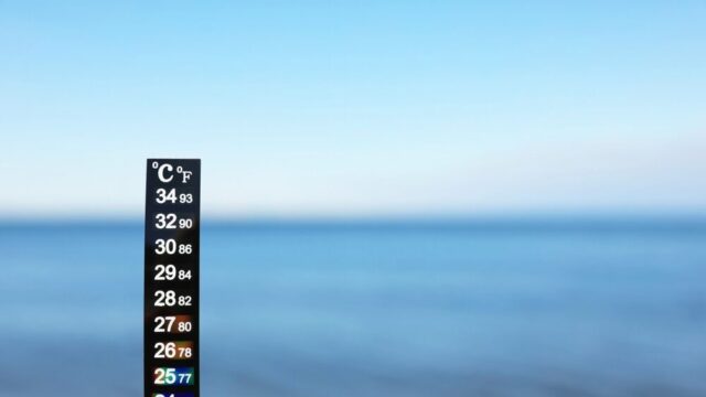 Temperatura media della superficie del mare