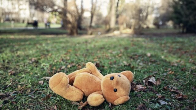 Ricerche per il bambino scomparso a Baldissero d'Alba
