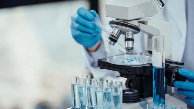 Modelli di tessuto tumorale per la ricerca sul cancro