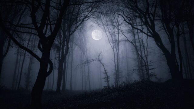 Silent Hill: Townfall - Immersione e Stealth nel Nuovo Horror di Konami