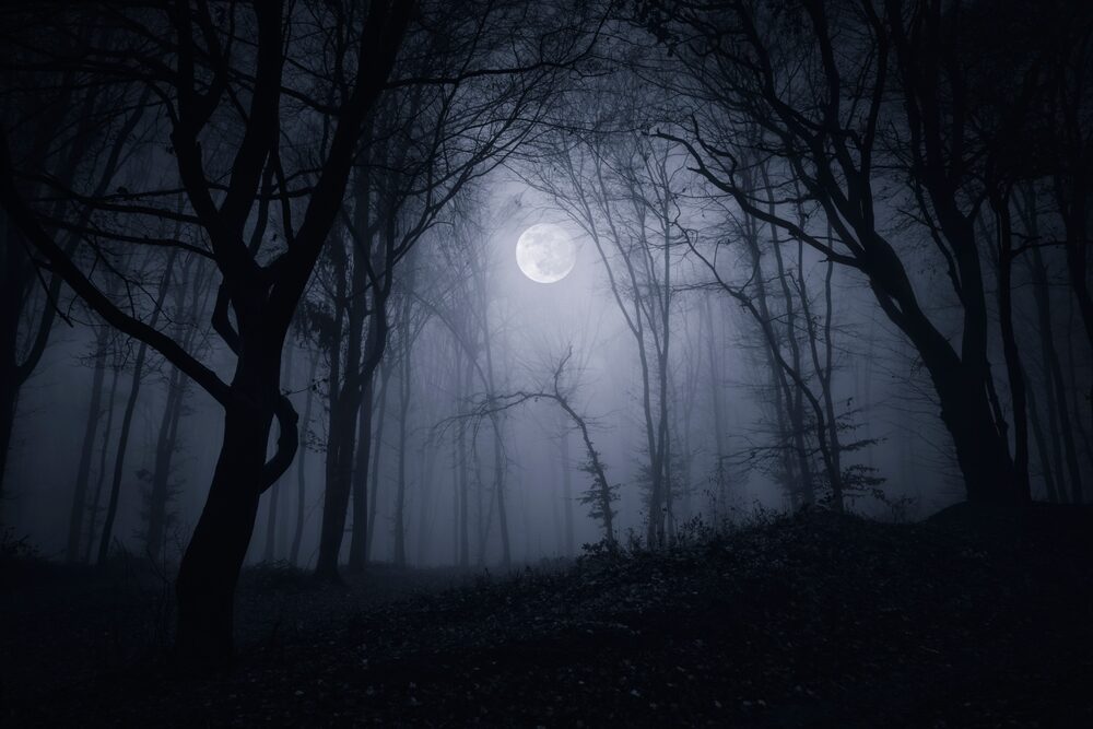 Silent Hill: Townfall - Immersione e Stealth nel Nuovo Horror di Konami